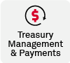 Treasury Management & Payments